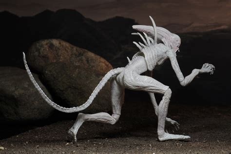 I've bought a ticket and saw it. NECA Reveals Neomorph & Xenomorph Alien Covenant Figures ...