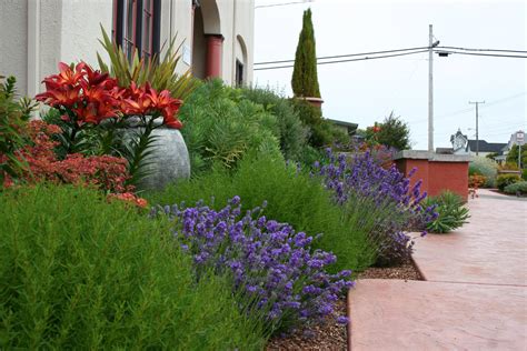 Get 10 Mediterranean Garden Ideas Pics Garden Decor Images