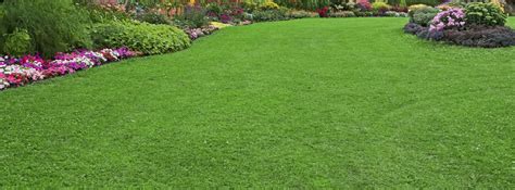 Nitrogen is especially important for getting beautiful green grass. Lawn Care Green Oak Township