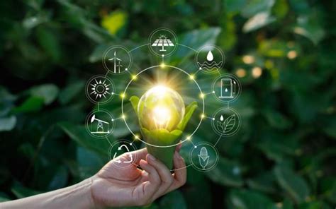 Green Business Ideas For Environmental Entrepreneurs Generis Global