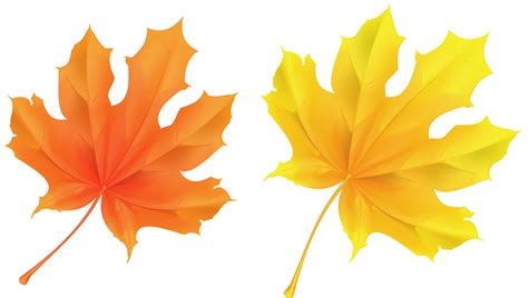 You can explore this leaf clip art category and download the clipart image for your classroom or design projects. Yellow leaves clipart - Clipground