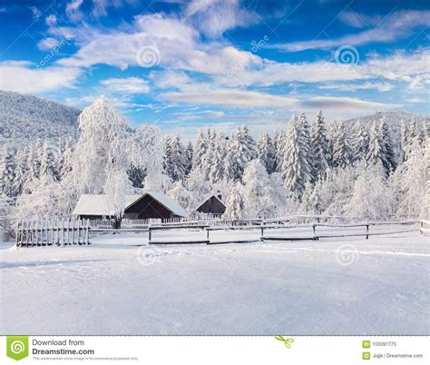 Picturesque Winter Landscape In The Carpathian Village Stock Image