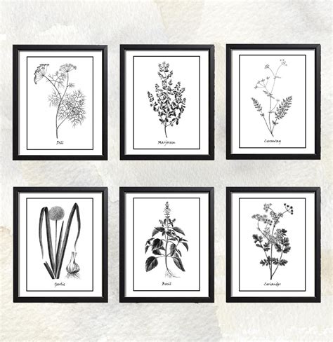 Create Your Own Botanical Print Set Herb Collection 15 Etsy Framed