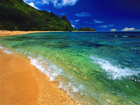 Hawaii Beach — Down Syndrome Prenatal Testing