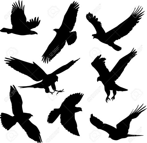 Falcon Silhouette At Getdrawings Free Download