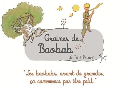 La narration de ce conte est faite à la première personne. Le Petit Prince Chapitre 5-9: Le Résumé