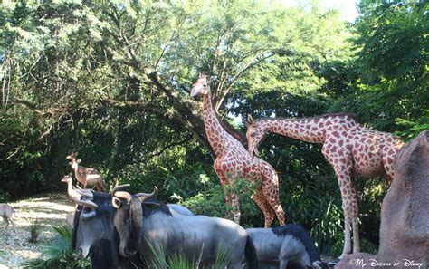 The Jungle Cruise is a unique, original Magic Kingdom ride!