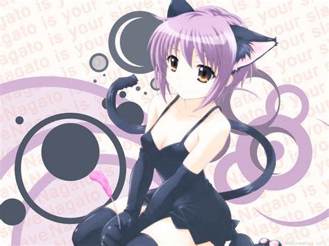 Cute Anime Cat Girl Cat Girl Face Wallpaper Download Mobcup