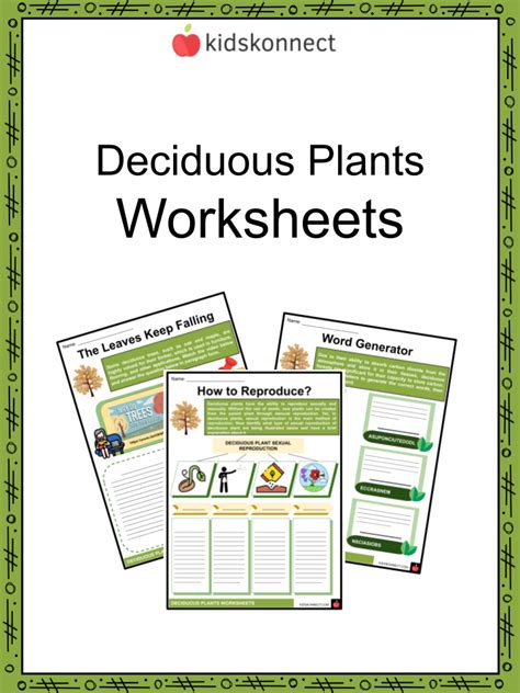 Deciduous Plants Worksheets Botany Function Reproduction