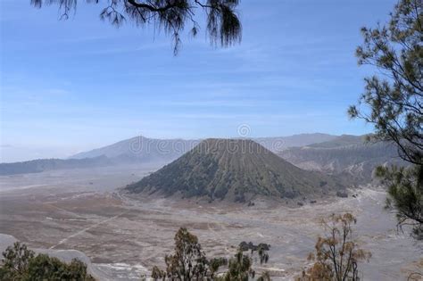 Ver Através Das árvores O Vulcão Batok E A Cratera Bromo No Parque