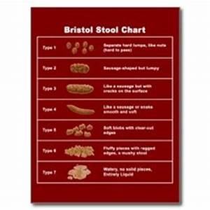 1000 Images About Bristol Stool Chart On Pinterest Bristol Stools