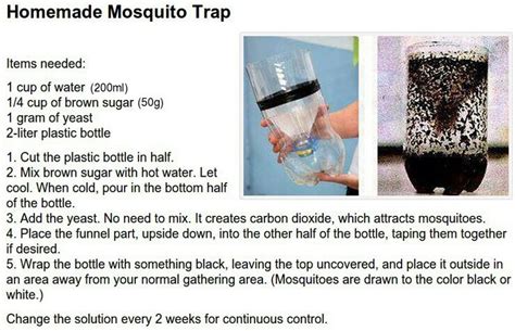 We did not find results for: Homemade mosquito trap - brown sugar, water, yeast, and a ...