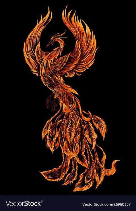 Fire Phoenix Bird Drawing
