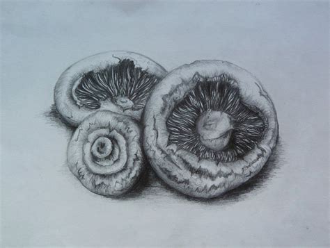 A pencil is an implement for writing or drawing, constructed of a narrow, solid pigment core in a protective casing that prevents the core from being broken or marking the user's hand. Drawn mushroom realistic #3 | Pencil drawings, Mushroom ...