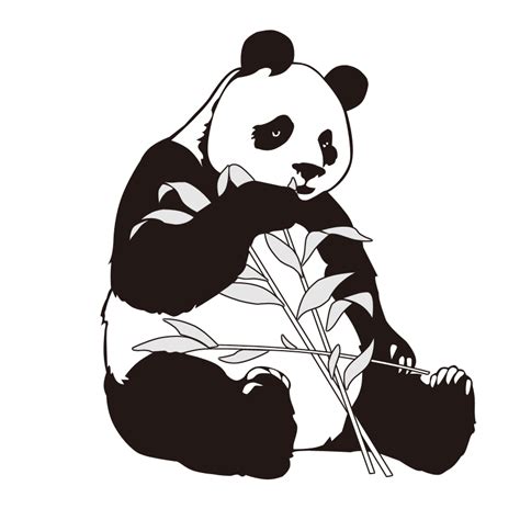 Clipart Panda Bamboo Drawing Clipart Panda Bamboo Drawing