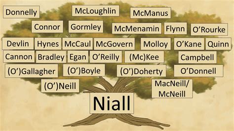 Children’s Book About Irish King Inspired by DNA Research