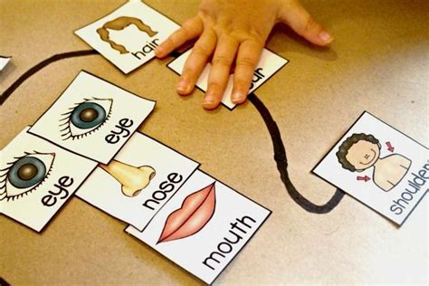 This Fun All About Me Preschool Science Activity Will Engage Your