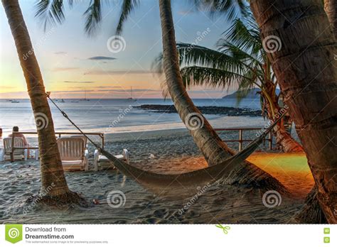 Hammock On Tropical Beach At Sunset Editorial Stock Image