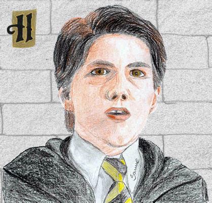 Das wappentier ist der dachs und die farben sind schwarz und gelb. Charaktere der Harry Potter Romane