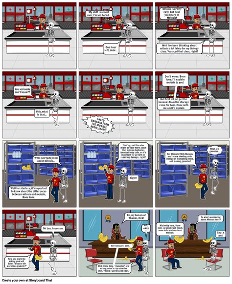 Meiosis Storyboard Par 1f563b92