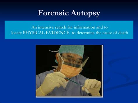 Ppt Forensic Pathology Powerpoint Presentation Free Download Id
