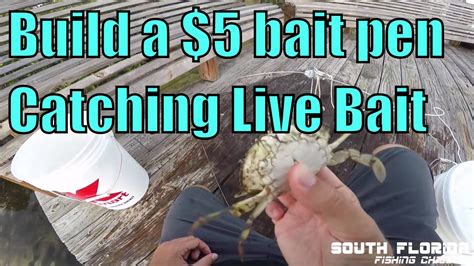 Build Your Own Live Bait Pen Catching Bait Pin Fish Youtube