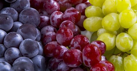 Grapes And Raisins Can Be Dangerous For Dogs Diamond Pet Foods