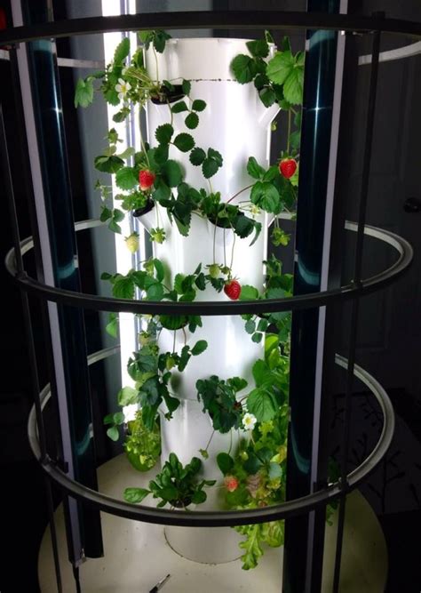 61 Best Tower Garden Vertical Aeroponic Growing System Making Gardening Easy Images On