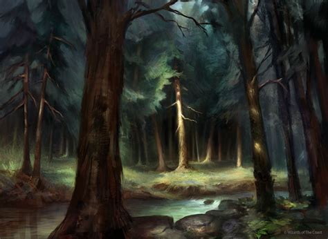 MPS Forest by Adam Paquette | Forest fantasy art, Magical forest fantasy, Forest art