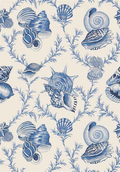 Blue Seashell Wallpaper