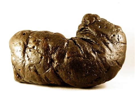 Largest Human Poop