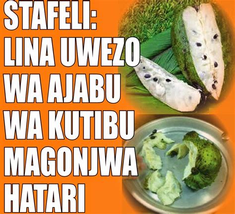 Naam, mtu mwenye akili timammu ni yule anayefanya juhudi za kuzuia uso wake usiwe mweusi siku ya kiama hata kama atakuwa ni mweupe hapa duniani. STAFELI: LINA UWEZO WA AJABU WA KUTIBU MAGONJWA HATARI ~ Mzizi Mkavu