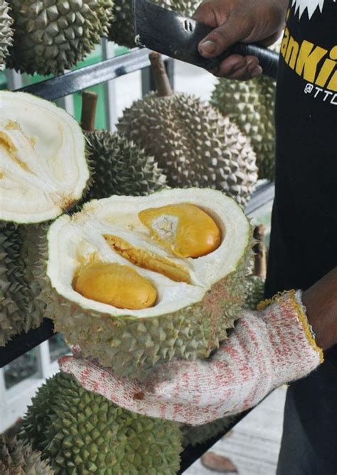 Find the perfect bukit bintang stock illustrations from getty images. Batang Kali Durian