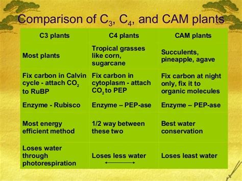 Ap Bio Ch 10 C3 C4 And Cam Plants Biology Lessons Biology Classroom