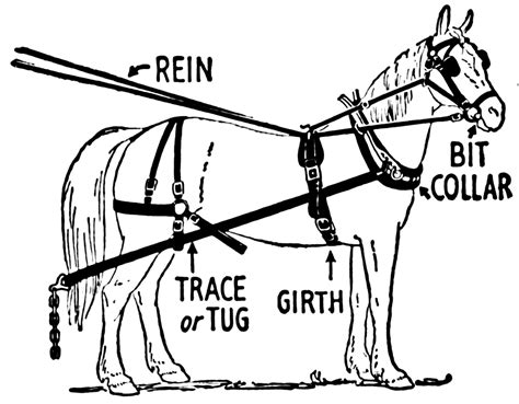 Pin By G K On English Through Pictures Horse Harness Horse Drawn
