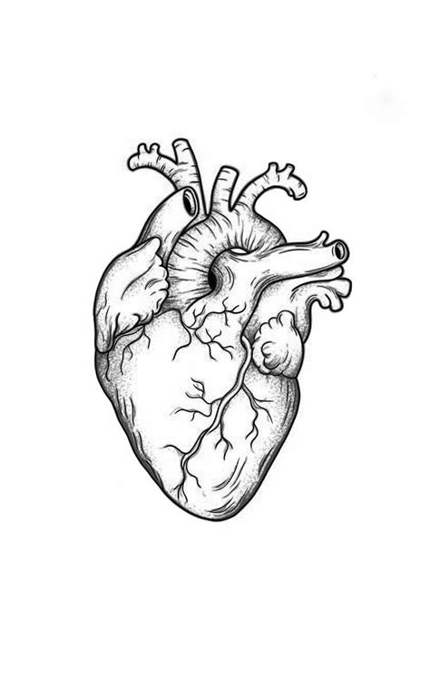 Real Heart Tattoos Realistic Heart Tattoo Human Heart Tattoo Human
