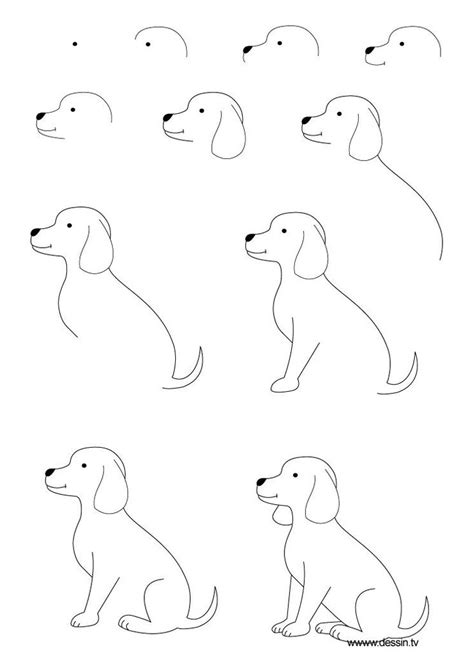 How To Draw A Dog Step By Step Instructions Learn How To Draw A Puppy