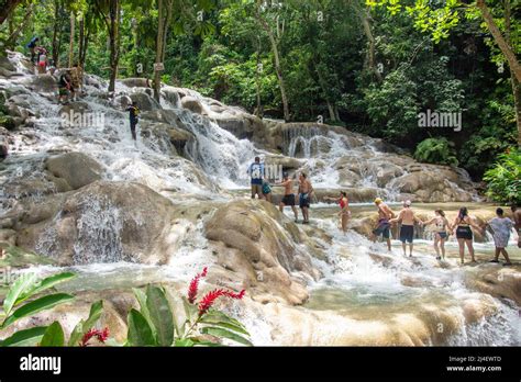 Tourists Climbing Dunns River Falls Ocho Rios St Ann Parish Jamaica