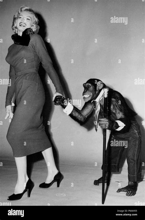 Monkey Business Marilyn Monroe Hi Res Stock Photography And Images Alamy