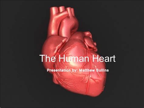 Presentation 2 The Human Heart By Matthew Sullins Bio 120spring 2015