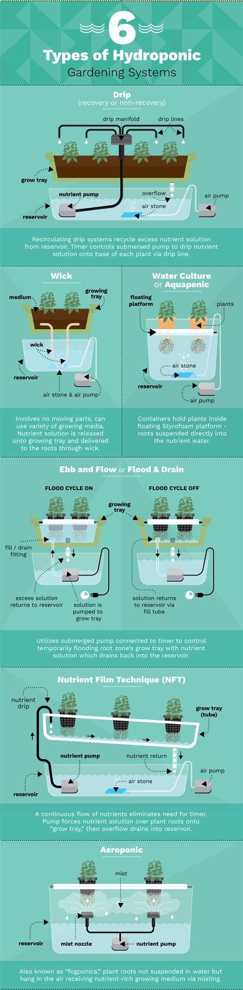 What Are The 6 Types Of Hydroponics Setups And Method