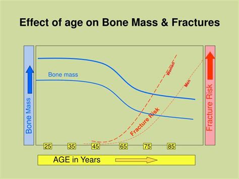 Ppt Effect Of Age On Bone Mass And Fractures Powerpoint Presentation