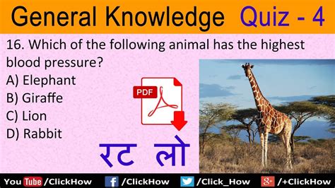 Here are some interesting general knowledge questions to test you, and to add to your database of facts and trivia. Basic GK General Knowledge Questions and Answers in ...