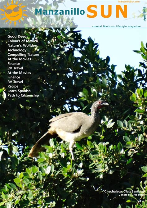 Manzanillo Sun Emagazine April 2018 Edition By Manzanillosun Issuu