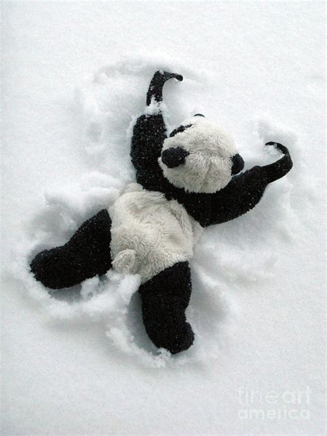 Ginny The Baby Panda Making A Snow Angel Photograph By