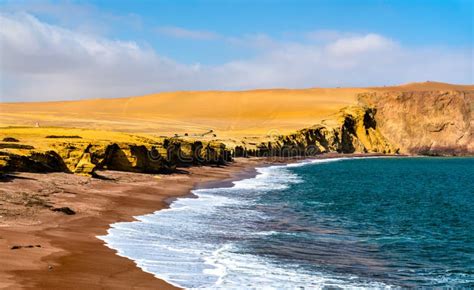 Playa Roja En La Reserva Nacional De Paracas En Perú Imagen De Archivo