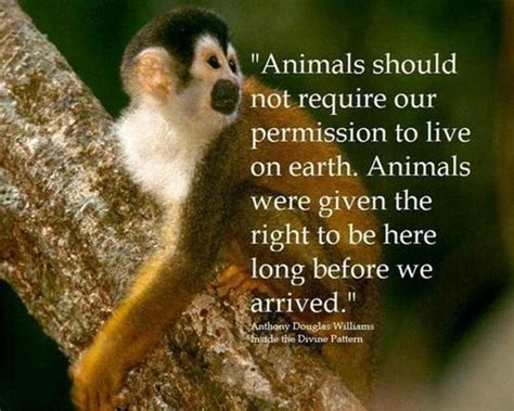 10 Inspiring Quotes About Animals Animal Cruelty Quotes Search And