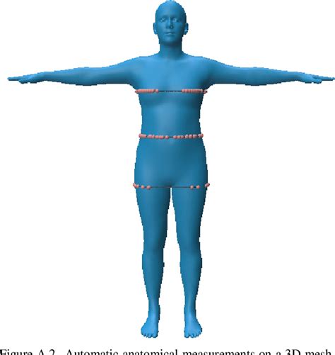 table 1 from accurate 3d body shape regression using metric and semantic attributes semantic