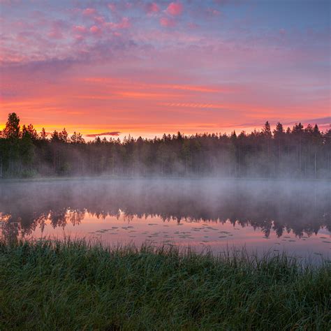 Morning At The Forest Pond By Juhaniviitanen On Deviantart