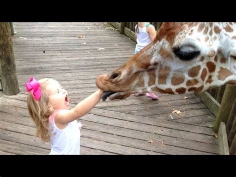 Forget Cats Funny Kids Vs Zoo Animals Are Way Funnier